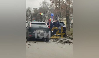 Деревно рухнуло на машину на проезжей части на улице Кауля в Туле