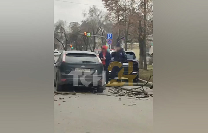 Деревно рухнуло на машину на проезжей части на улице Кауля в Туле