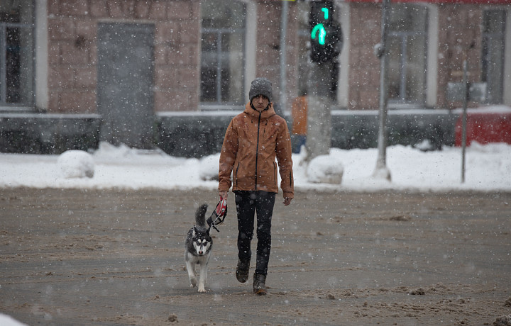 22 ноября: какой сегодня праздник, этот день в истории России и Тулы