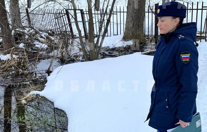 Тульская прокуратура проверила сообщение о затоплении деревни нечистотами