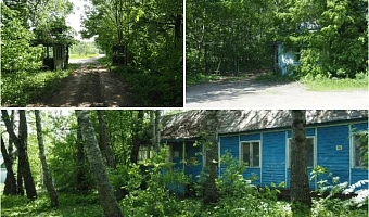 Погасший «Огонёк»: москвичи снова пытаются продать заброшенный детский лагерь под Тулой