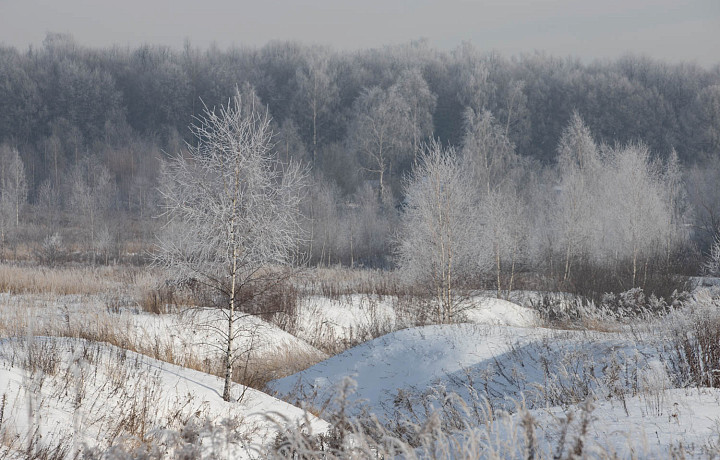 5 февраля: какой праздник сегодня, этот день в истории России и Тульской области
