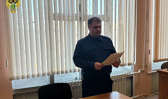 В Туле осудили троих человек за контрабанду древесины на 62 миллиона рублей