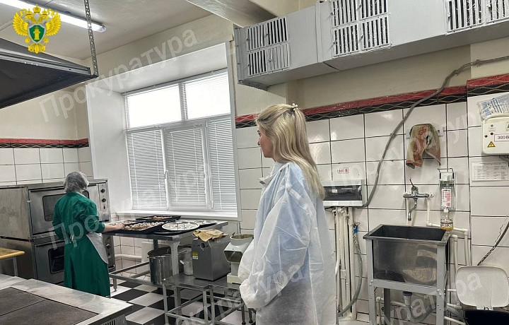 В детсаду и школе в Зареченском районе Тулы нашли санитарные нарушения