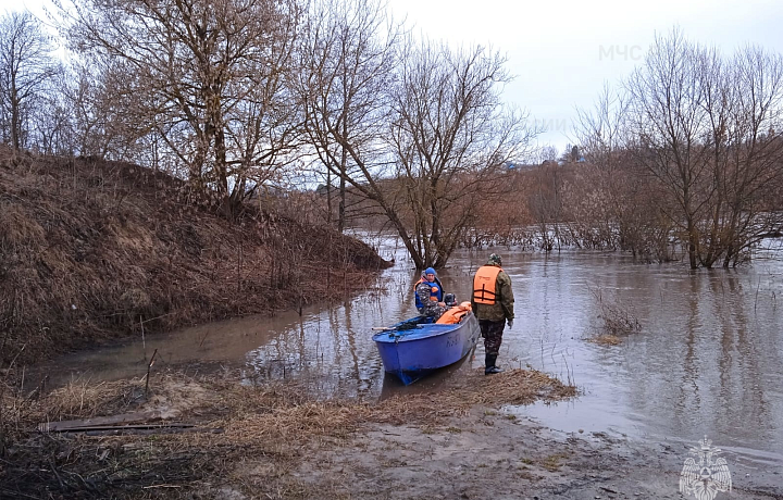 Несколько затопленных низководных мостов и участков дорог в Тульской области остаются на контроле МЧС 28 марта