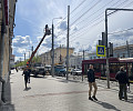 В Туле начали поднимать провода над высаженными деревьями на проспекте Ленина