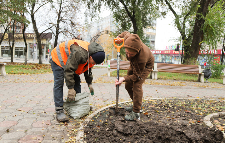 В Туле в рамках озеленения высаживают тюльпаны