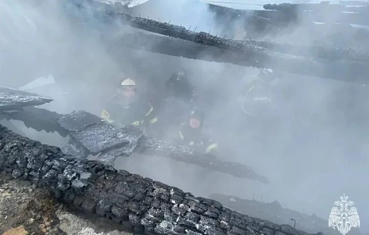 При пожаре в Тульской области погиб пенсионер