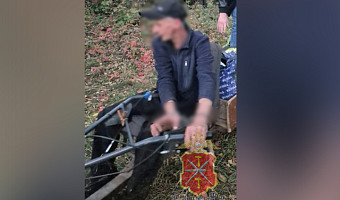 Мужчина украл водяной насос и бензопилу из частного дома в Донском