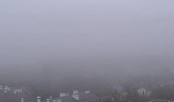 Сильный туман накроет Тульскую область с 20 по 21 марта