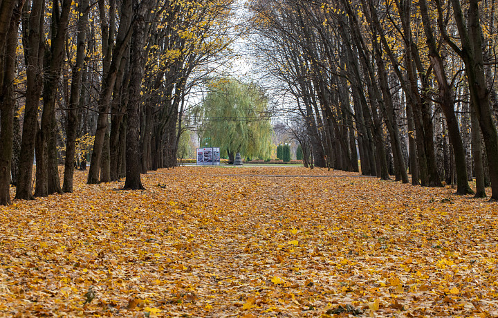 Народные приметы 10 ноября: почему на Бабью заступницу нельзя мыть голову