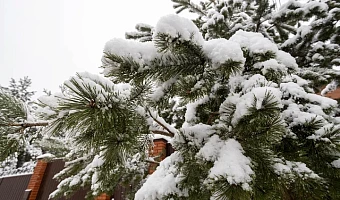 Придет оттепель: синоптик Ильин рассказал, какая погода ждет туляков с 15 по 19 декабря