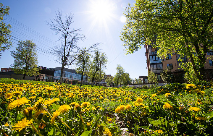 Солнечно, но ветрено: синоптики озвучили прогноз погоды в Туле и области на 28 мая