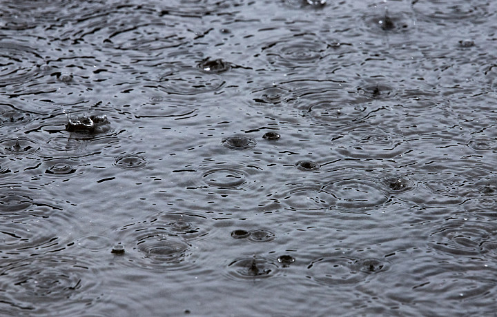 Треть месячной нормы осадков выпала в Туле с 27 июня