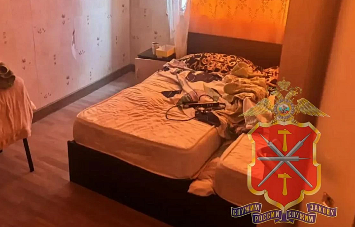 В Туле двое сообщников создали интим-салоны и организовали нелегальную миграцию