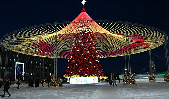 В Тульской области отпразднуют Китайский Новый год