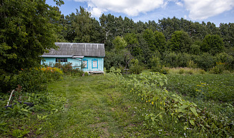 Почему зумеры скупают старые дачи: экономист объяснила новый тренд
