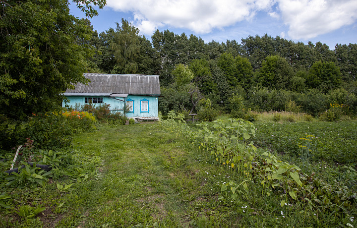 Почему зумеры скупают старые дачи: экономист объяснила новый тренд