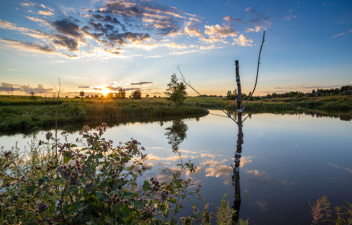 28-градусная жара накроет Тульскую область 29 мая