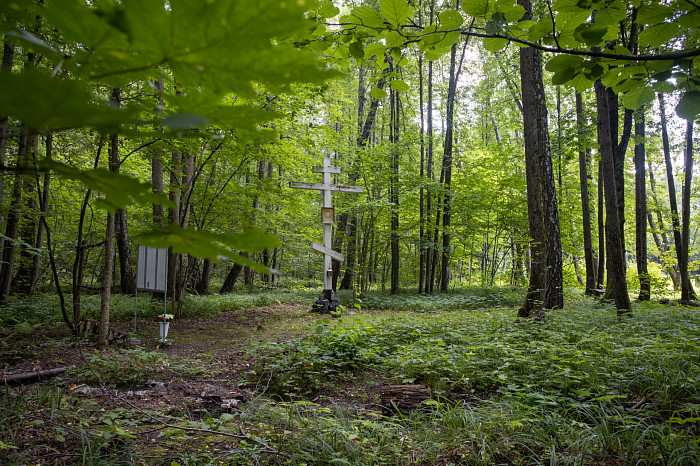 Фоторепортаж из Тесницого леса: как выглядит расстрельный полигон под Тулой