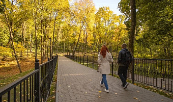 Астрономическая осень наступит в Тульской области 23 сентября