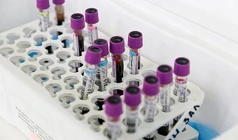 Девять тысяч туляков сдали более 21 тысячи литров крови в 2025 году