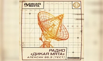 «Дикая Мята» выходит в эфир: Медиа Траст запустил новую радиостанцию в Алексине