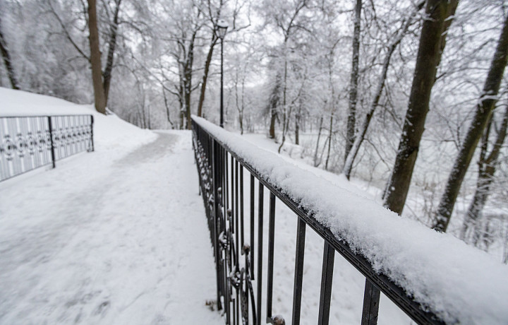 Из-за солнечных дней в Тульской области начал активно таять снег