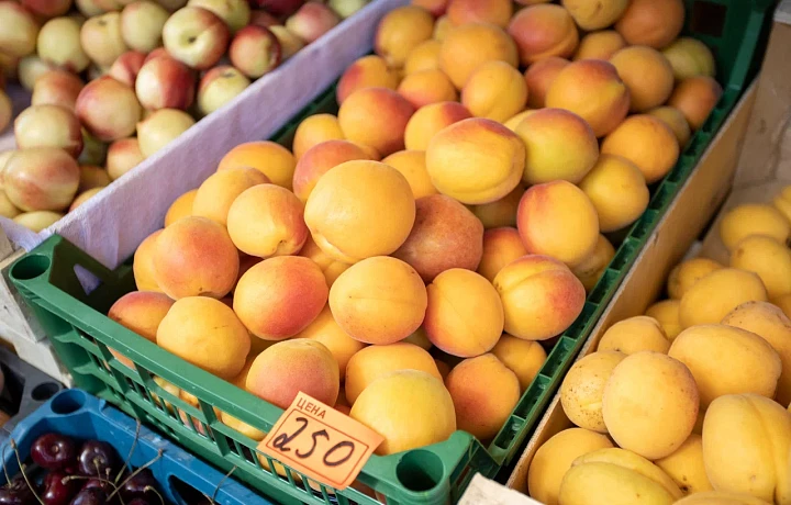 Врач назвала продукты, которые точно нужно выкидывать при малейшем появлении плесени