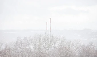 Порывы ветра в Тульской области 22 февраля достигнут 20 метров в секунду