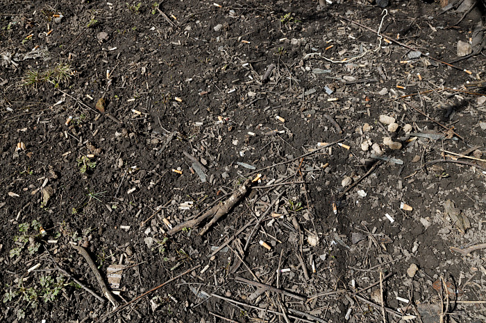 Идет – бычок валяется: фоторепортаж с улиц Тулы, от которого хочется прокашляться