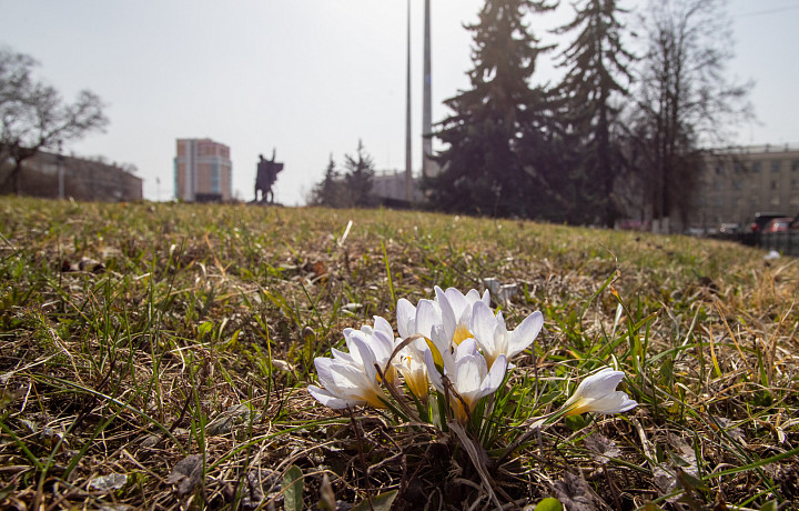 2 апреля: какой праздник отмечают сегодня, этот день в истории России и Тулы