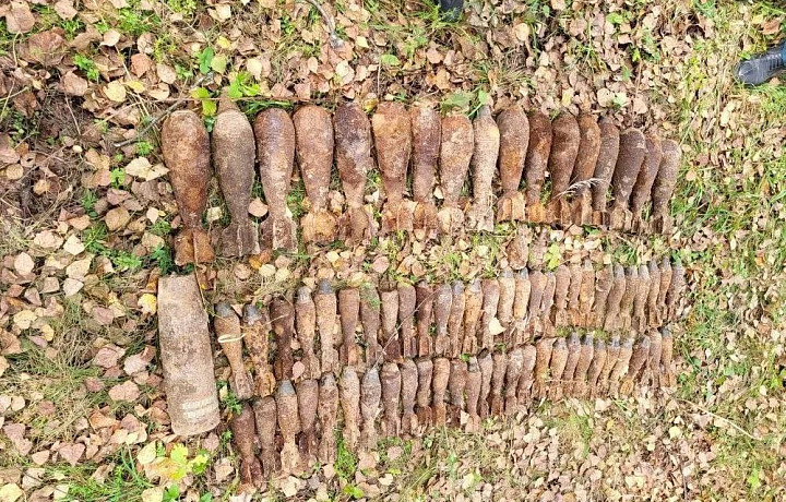 В Арсеньевском районе обезвредили 73 мины, артиллерийский снаряд и две гранаты времен войны