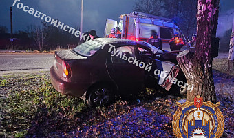 В Щекинском районе женщина на иномарке врезалась в дерево