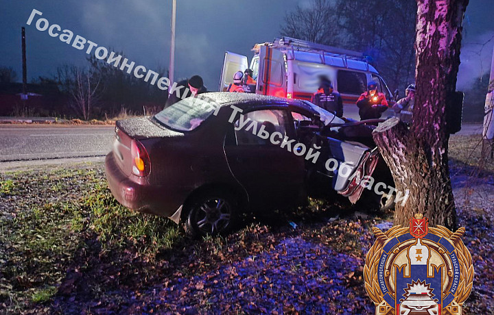 В Щекинском районе женщина на иномарке врезалась в дерево