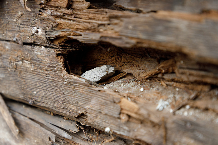 «Все это рухнет людям на голову»: Почему 70-летний разваливающийся деревянный дом по улице Шухова в Туле до сих пор не могут признать аварийным