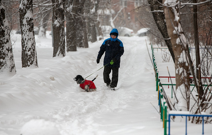 Ждать ли 30-градусных морозов и метелей зимой 2022-2023 в Туле – изучаем прогнозы