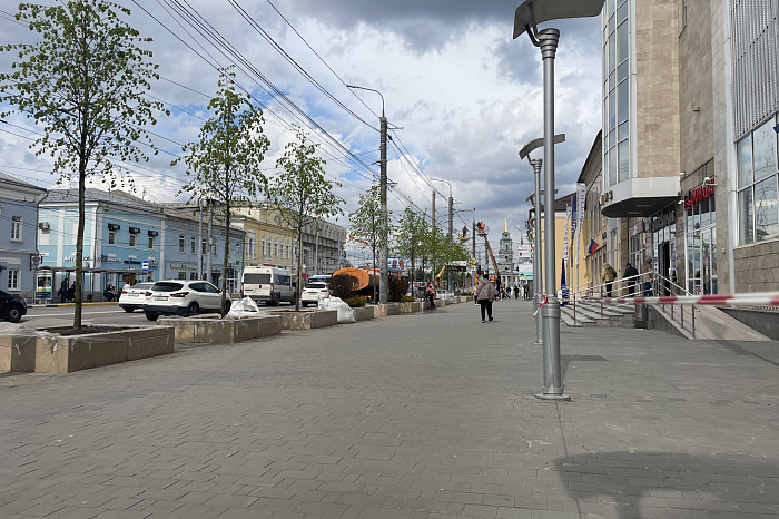 В Туле начали поднимать провода над высаженными деревьями на проспекте Ленина