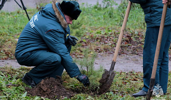 Спасатели МЧС в честь 35-летия ведомства высадили сосновую аллею в Липках