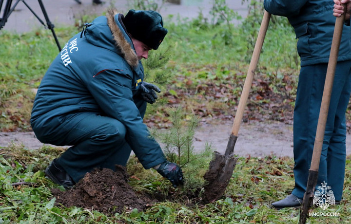 Спасатели МЧС в честь 35-летия ведомства высадили сосновую аллею в Липках
