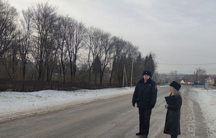 Прокуратура нашла нарушения на дороге в Ефремове, где сбили семилетнюю девочку