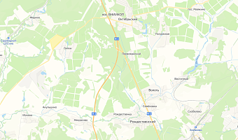 Благоустройство территории и ремонт школы: в Туле повторно продают право на застройку рядом с Липками