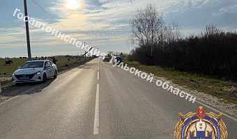 В Одоевском районе водитель иномарки перевернулся в кювете и влетел в столб