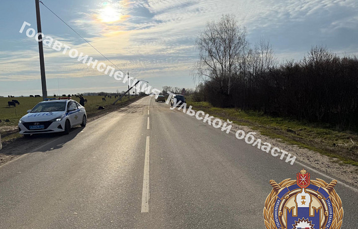 В Одоевском районе водитель иномарки перевернулся в кювете и влетел в столб