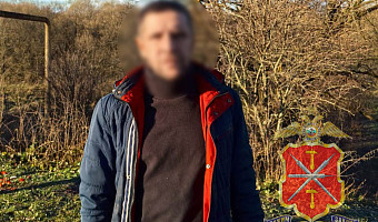 На туляка завели новое уголовное дело за кражу светильников и лежаков с чужой дачи