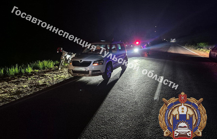 Под Тулой водитель Skoda врезался в подростка на питбайке – мальчик в больнице