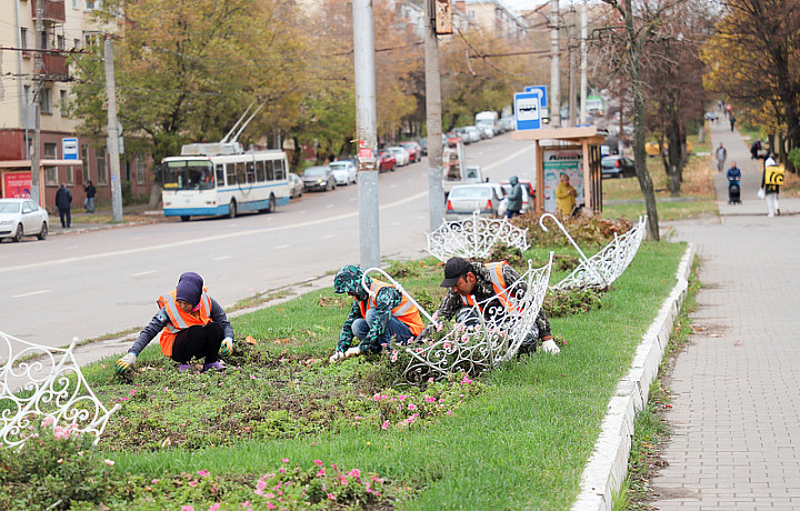 Цветники в Туле подготовят к зиме на 60 городских объектах