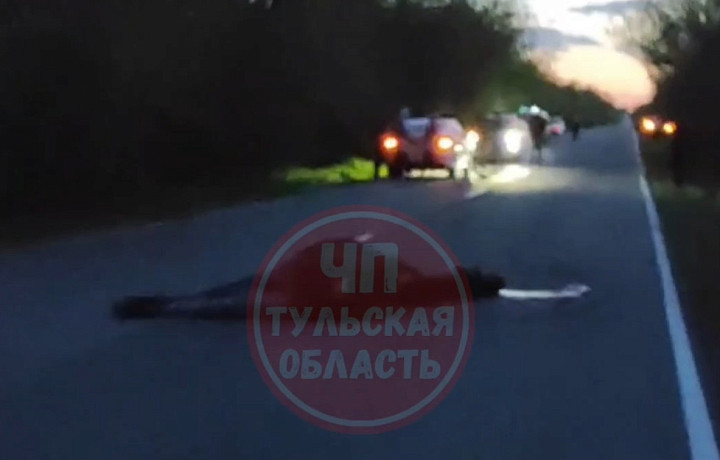 С тульских водителей за год взыскали почти 8,5 миллионов рублей после ДТП с дикими животными