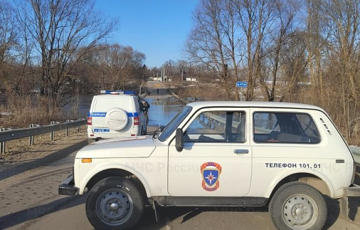 В щекинском селе Орлово затопило мост через Упу