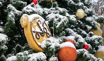 Елка желаний: как детям из Тульской области принять участие и что  дарят депутаты, бизнесмены и чиновники?